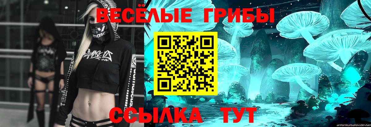 Галлюциногенные грибы прущие грибы  Вход с VPN  Воркута 